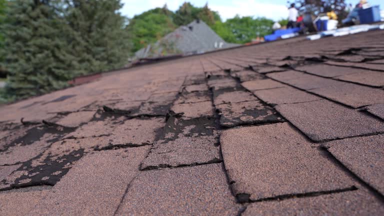 Best Roofing for New Construction  in USA